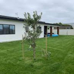 3 Snappers Lane Foxton Beach Manawatu