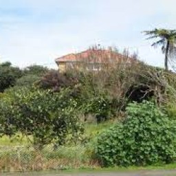 73 Mould Street Waitara New Plymouth