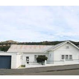 84E Tiber street island bay welly